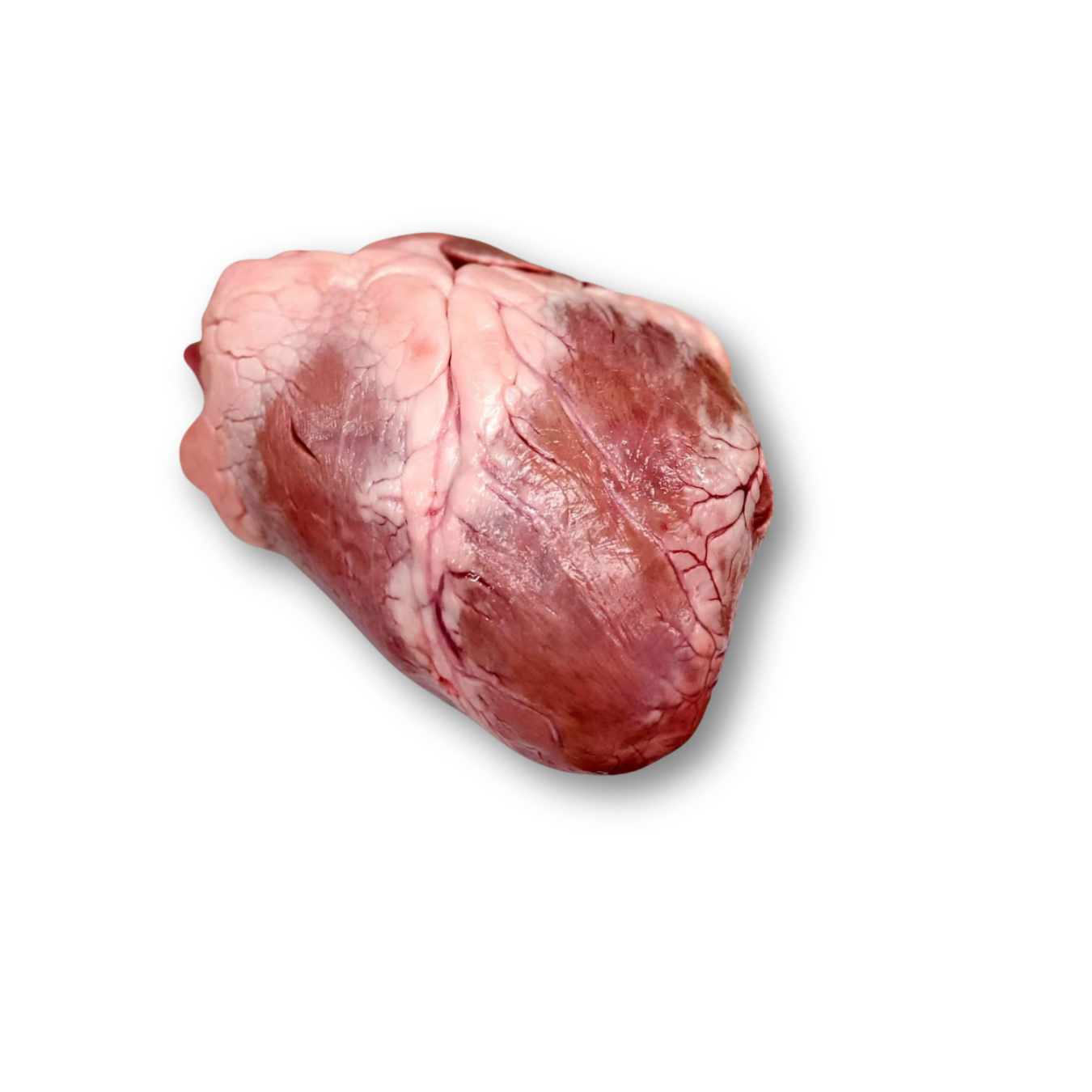 Beef Heart