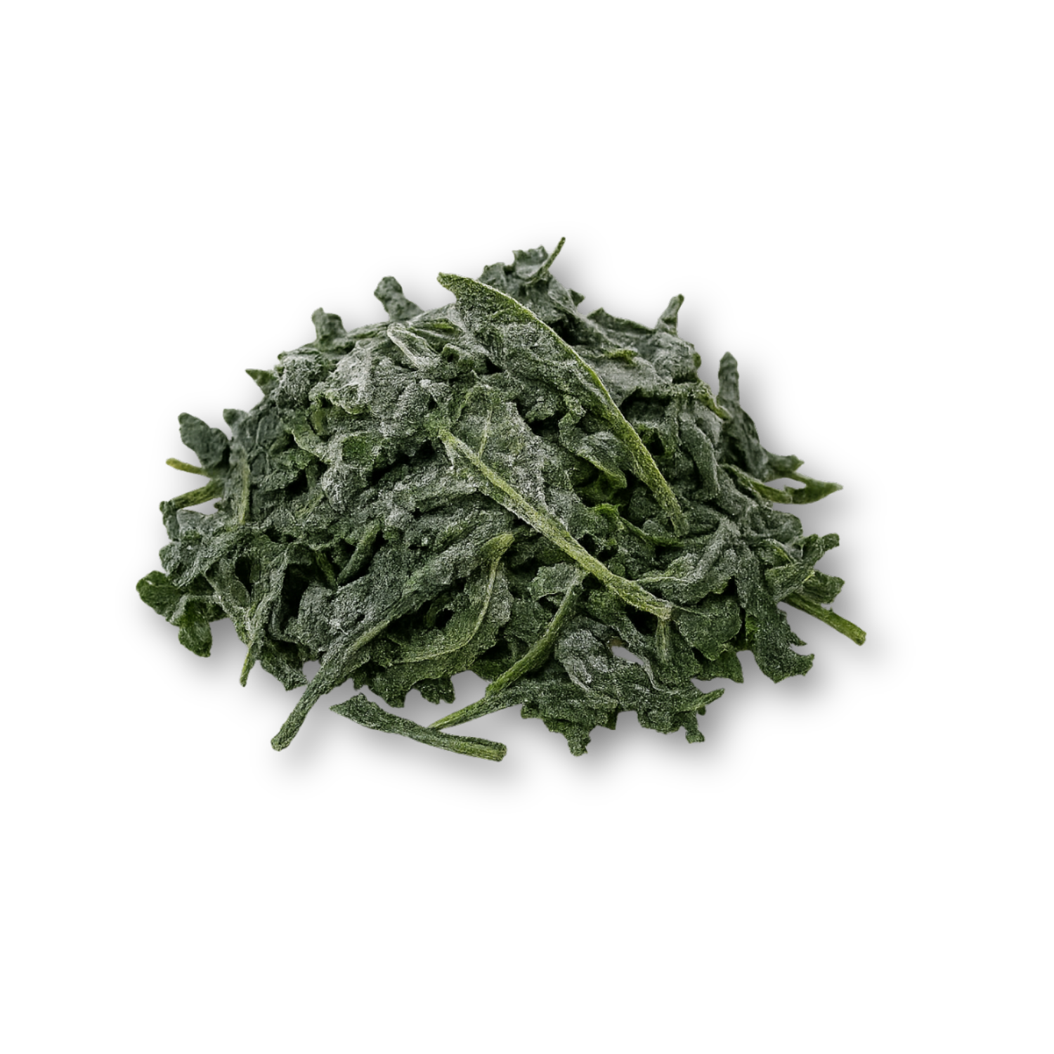 Bitter Leaf (Vernonia amygdalina) – 100% natural, fresh or frozen leaves, retail or bulk pack from Ireland