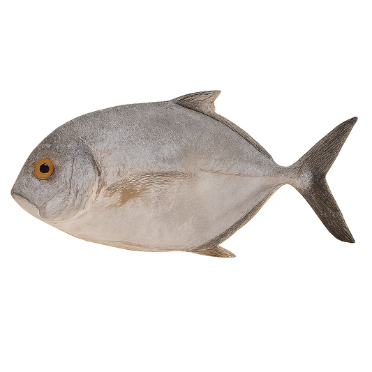 Whole round wild-caught Pseudocaranx dentex and Caranx ignobilis, IQF frozen in bulk, sourced from New Zealand and Indonesia