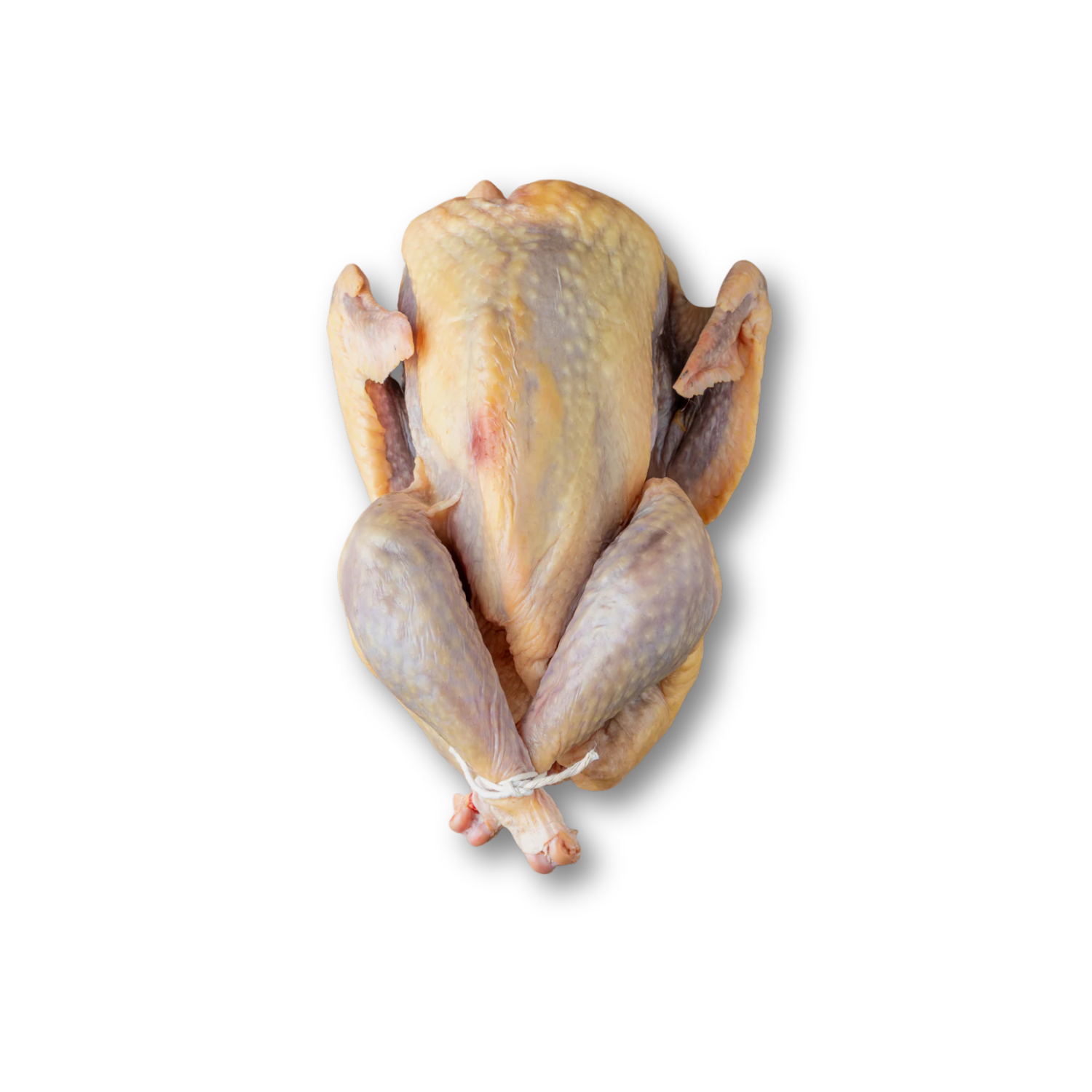 Whole Guinea Fowl – Lean, tender frozen poultry with delicate game flavor, sourced from Northern Ireland on a white background