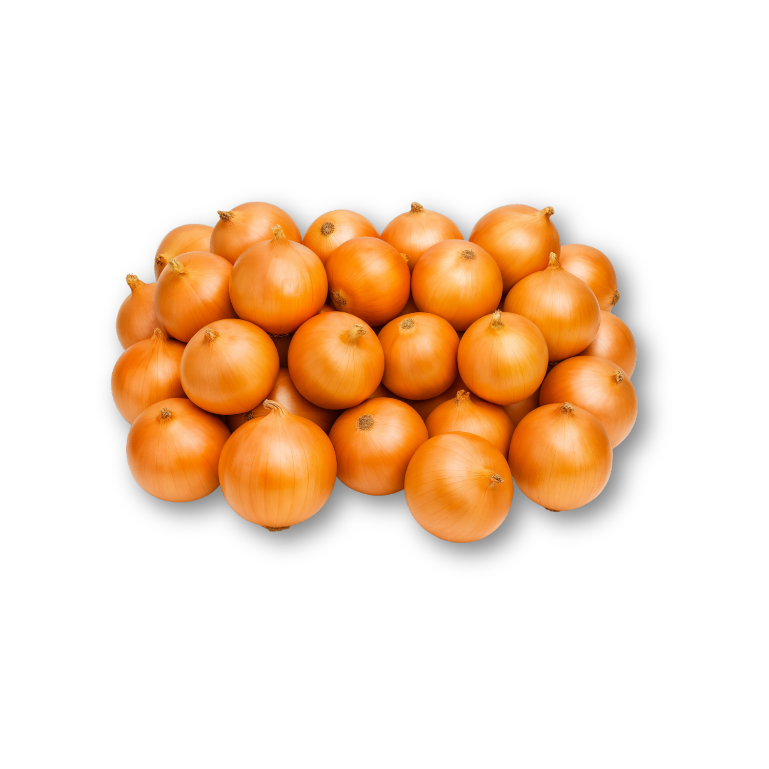 Fresh Onions – Whole cleaned bulbs packed in retail, net bags, or bulk sacks, ideal for everyday cooking onions on a white background