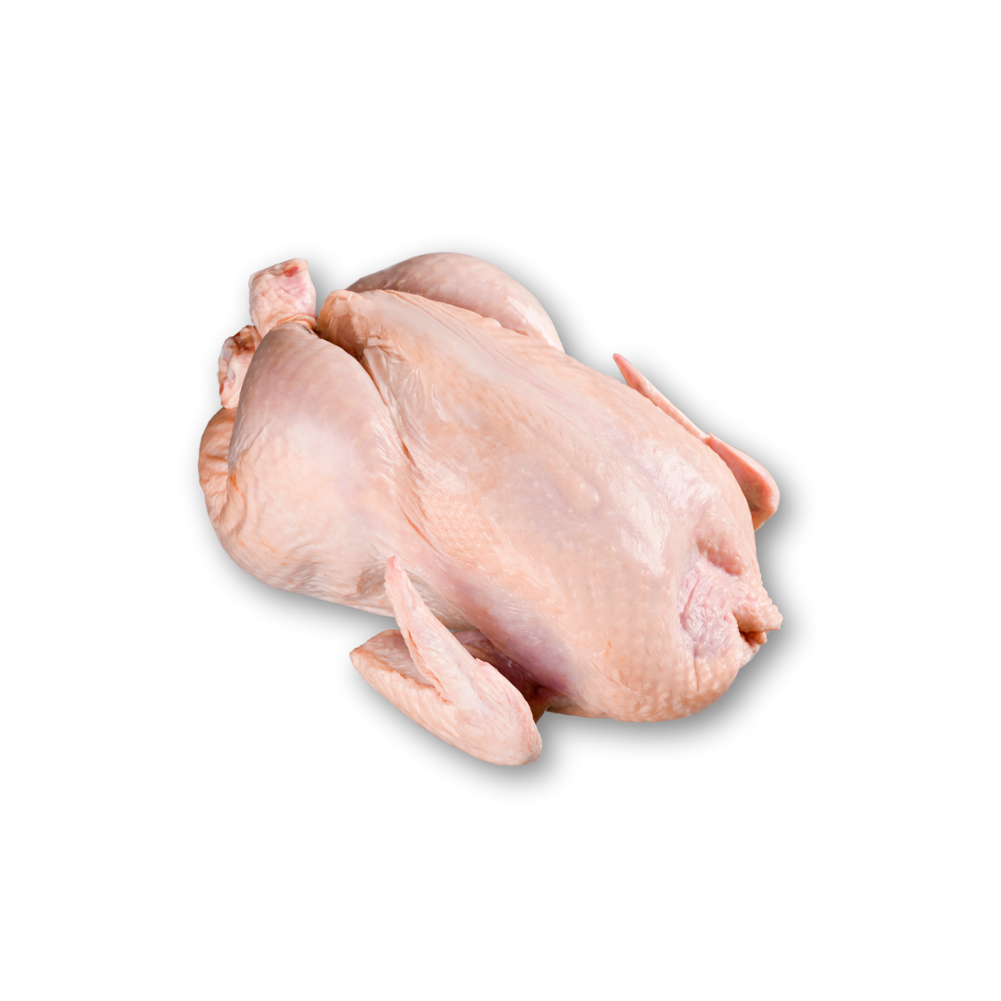 Raw chicken on a white background