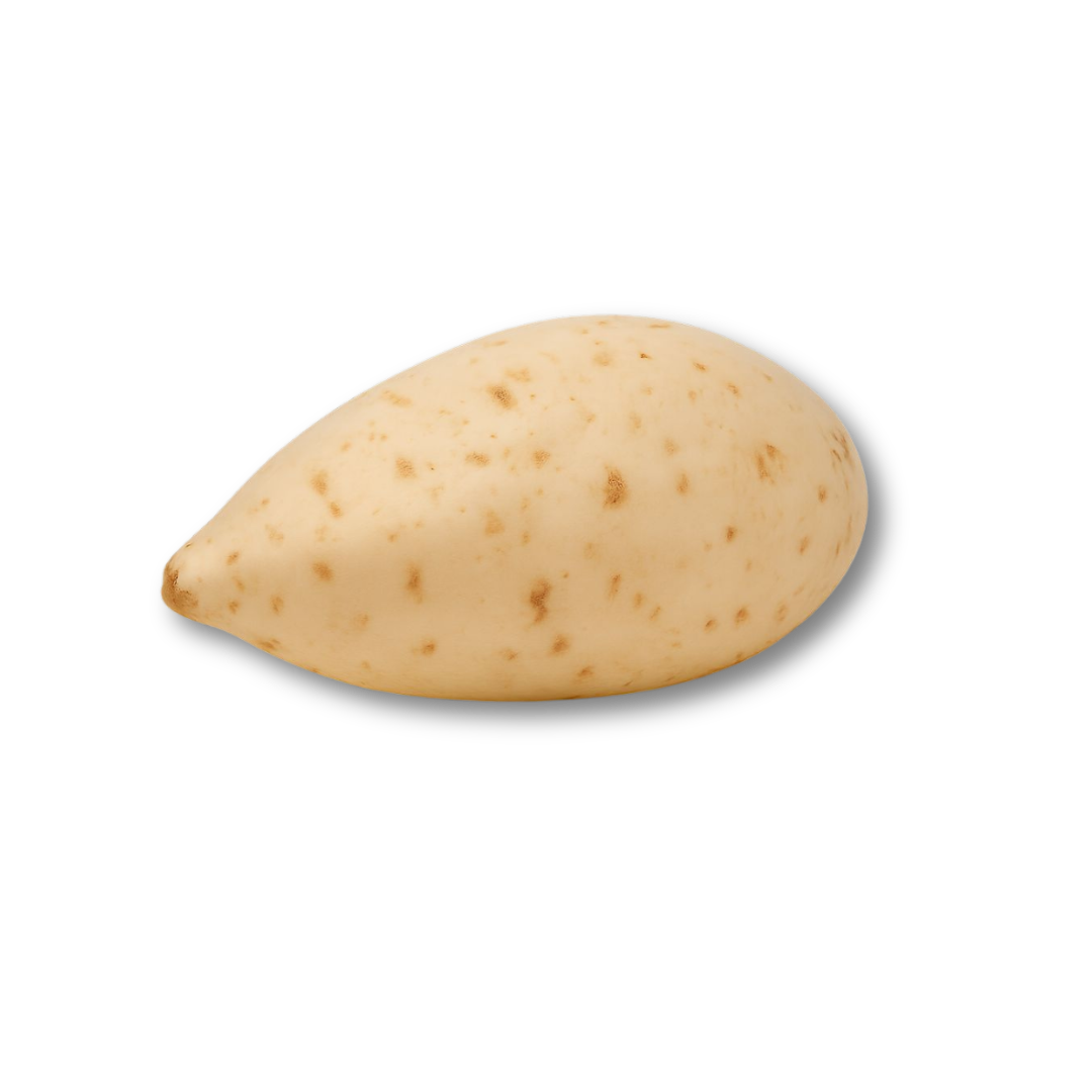 Fresh Sweet Potatoes – Whole tubers, 100% natural, retail pack or bulk sack, harvested & packed in Ireland