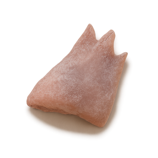 Frozen Duck Tails – Rich, flavorful poultry portions, frozen on a white background