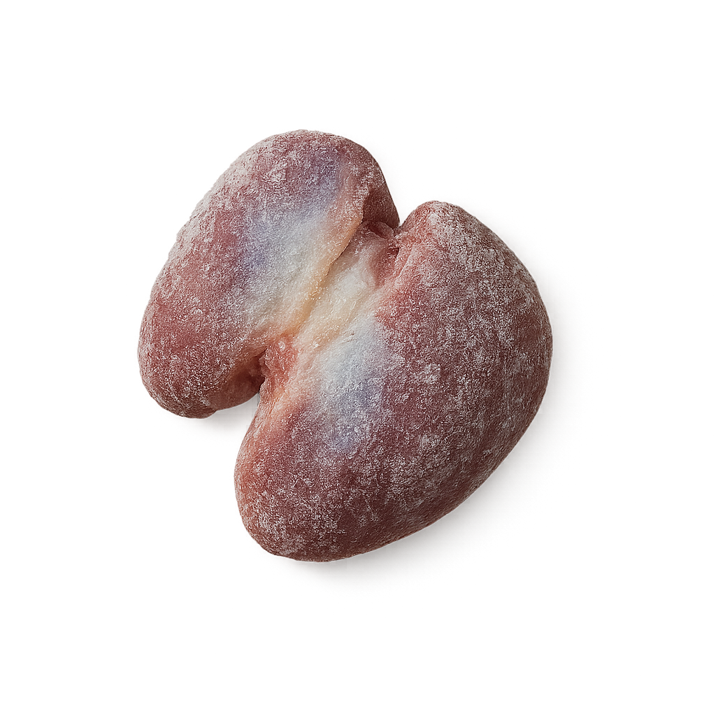 Frozen Hen Gizzards – Firm, savory poultry offal, frozen & packed in Northern Ireland on a white background