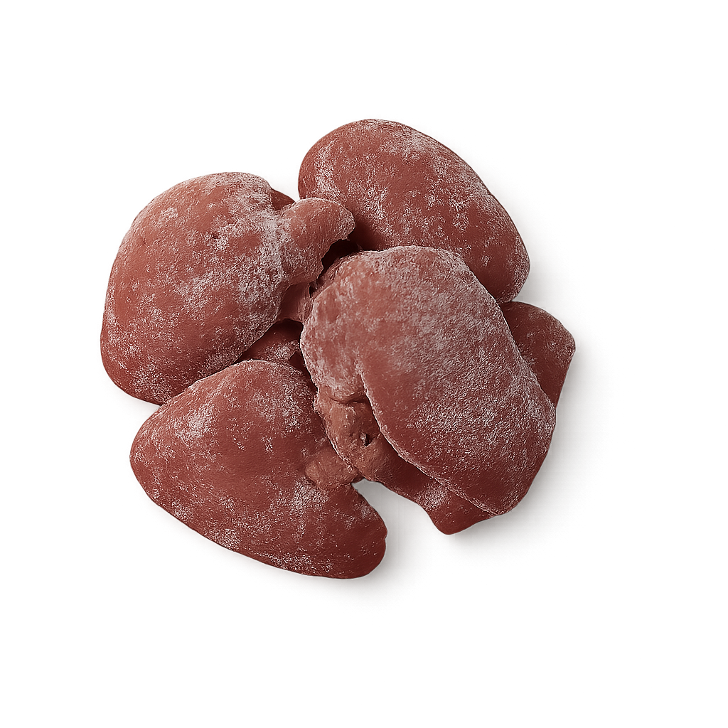 Frozen Hen Livers – Rich, earthy poultry offal, frozen & packed in Northern Ireland on a white background